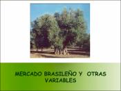 Imagen en miniatura
