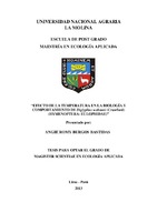 Imagen en miniatura