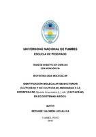 Imagen en miniatura