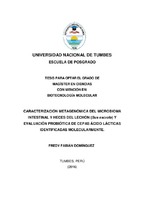 Imagen en miniatura
