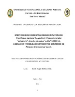 Imagen en miniatura