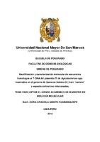 Imagen en miniatura